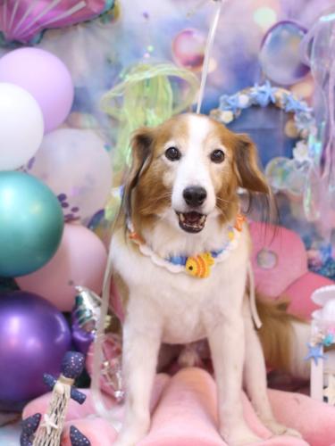 20240802レオくん